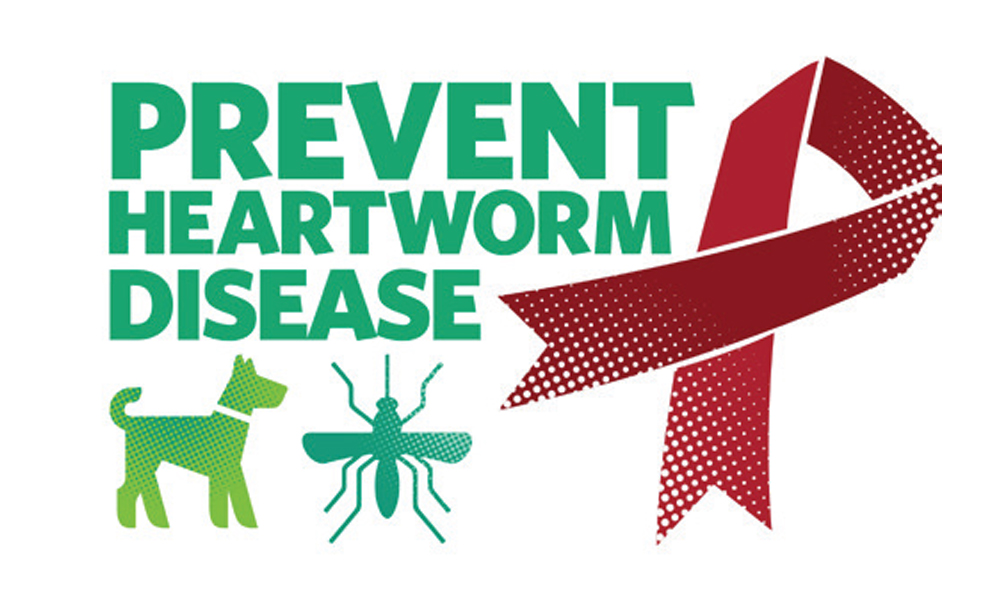 Illustration promoting heartworm disease prevention. Features a green silhouette of a dog and a mosquito, accented by a red ribbon symbol. Bold green text reads "Prevent Heartworm Disease." Consult your vet for expert advice, because keeping your pet healthy begins with your veterinarian.