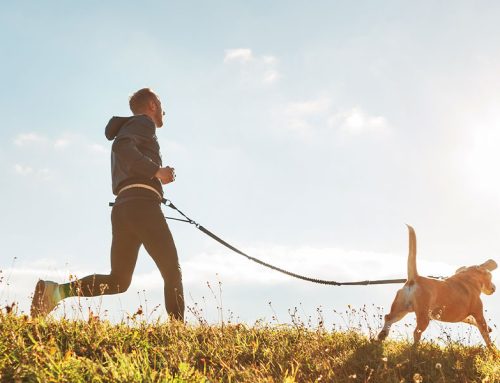 Woofin’ Workouts:  Fun Ways to Exercise with Your Dog